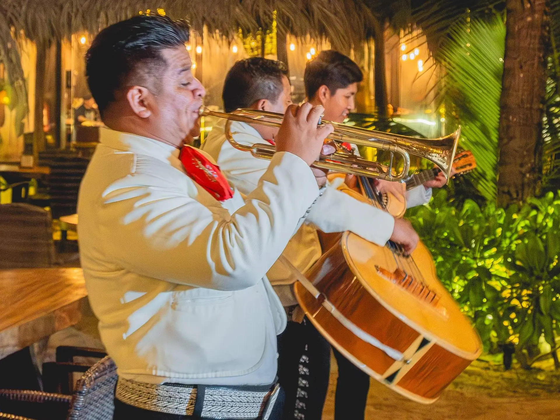 mariachi-5 mariachi-5